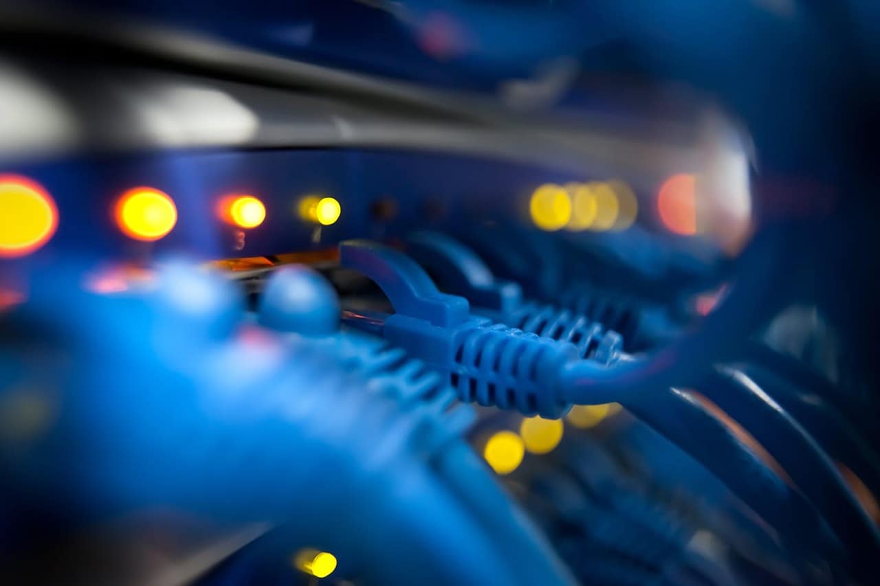 Cables Ethernet conectados al servidor