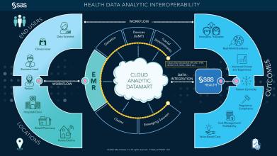 Health Data Analytic Interoperability