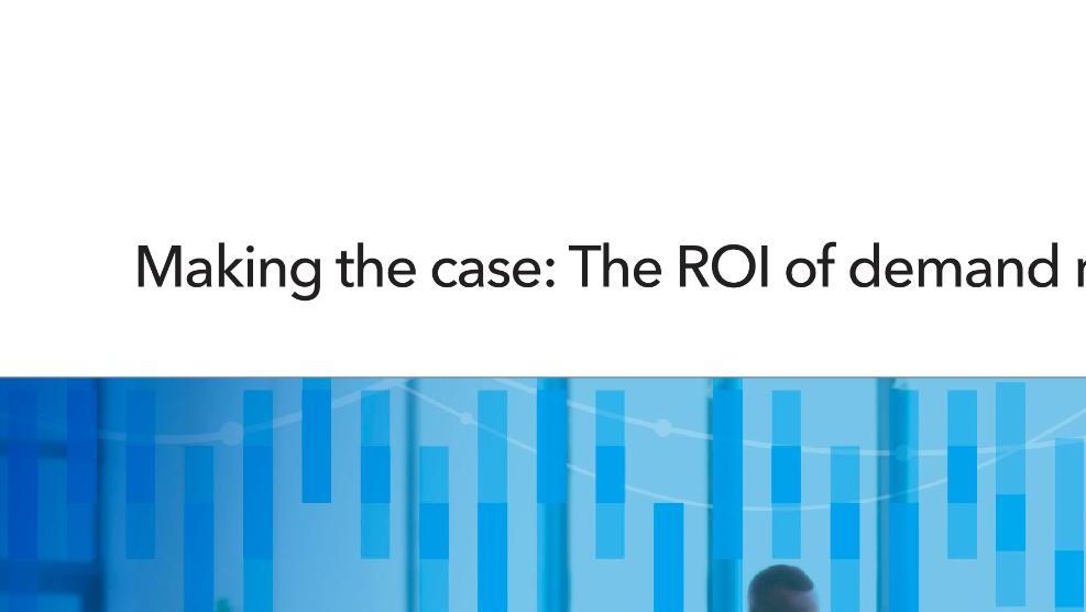 Making the Case: The ROI of Demand Management