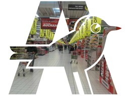 Auchan Logo