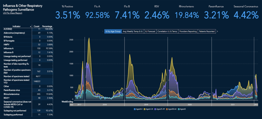 Capture d'écran de SAS Visual Analytics