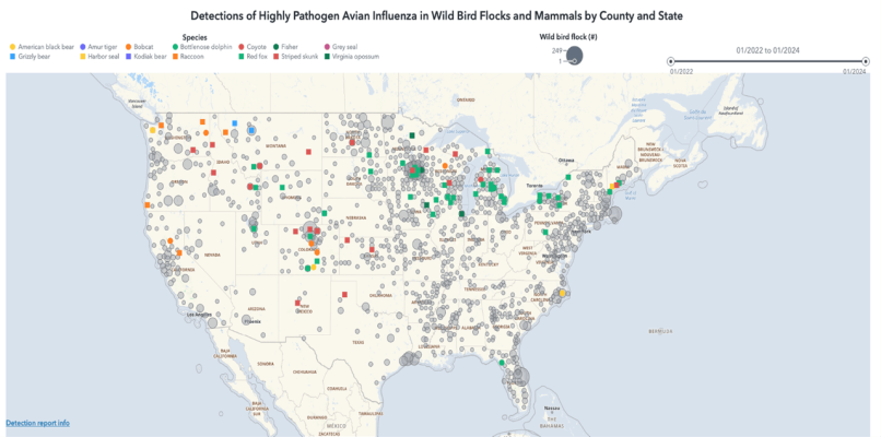Capture d'écran de SAS Visual Analytics