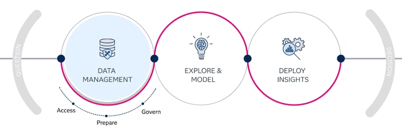 SAS Viya life cycle highlighting data management