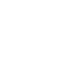 Snowflake Flower Sun and Leaf Icon