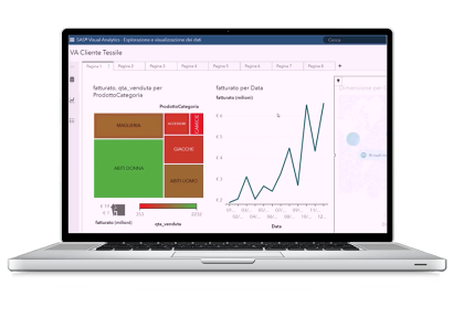 SAS® Visual Analytics - screenshot on monitor