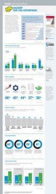 Hadoop for the Enterprise - infographic thumbnail image
