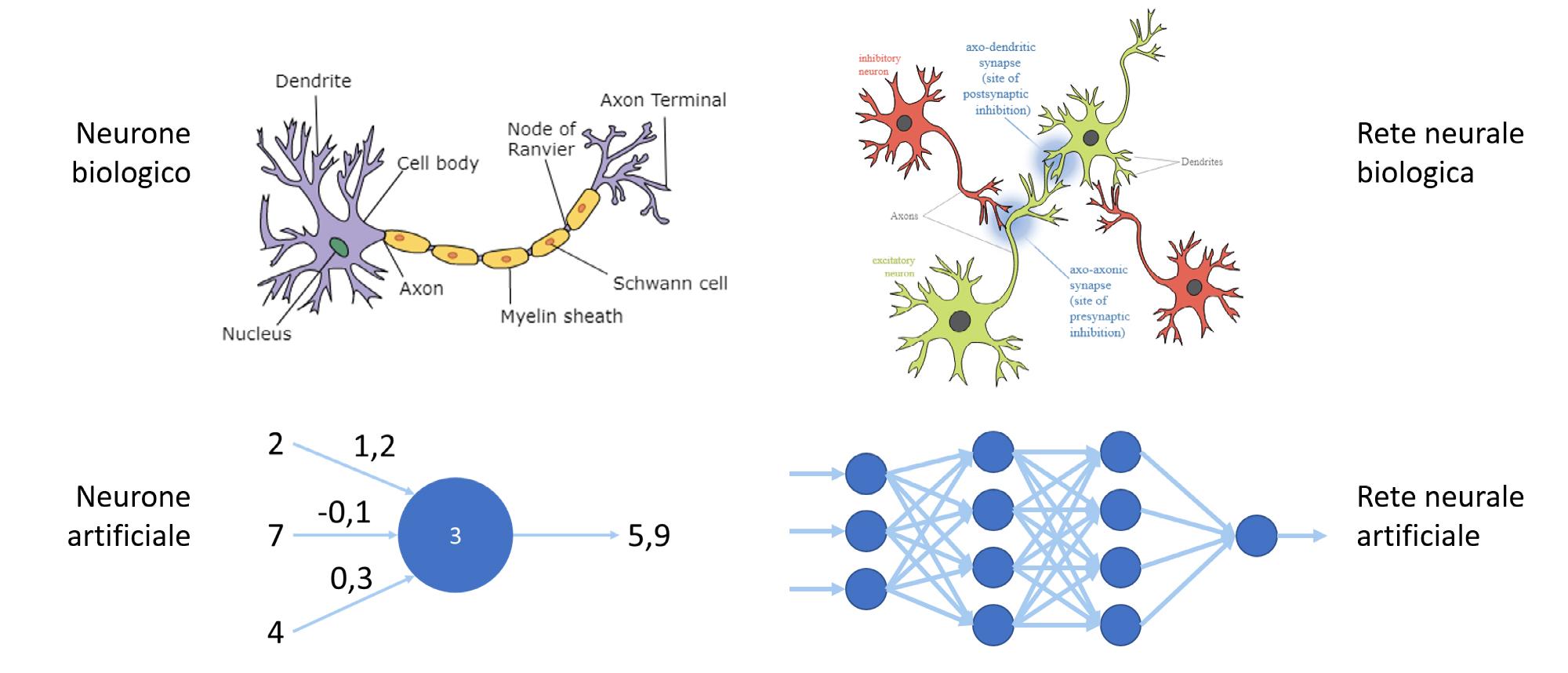 Tipologie di Reti Neurali