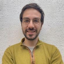 Paolo Curatolo, Iconsulting