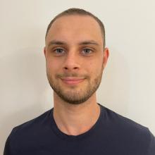 Filippo Giuliani, Iconsulting