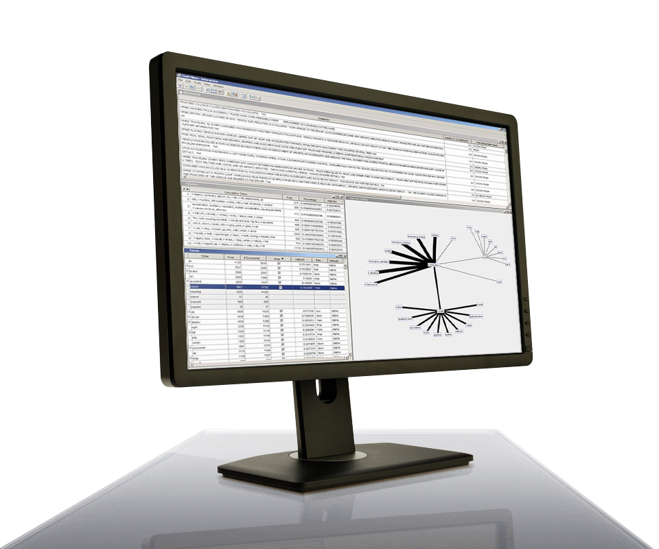 SAS Text Miner in esecuzione su monitor desktop