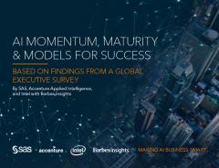 AI Momentum, Maturity and Models for Success