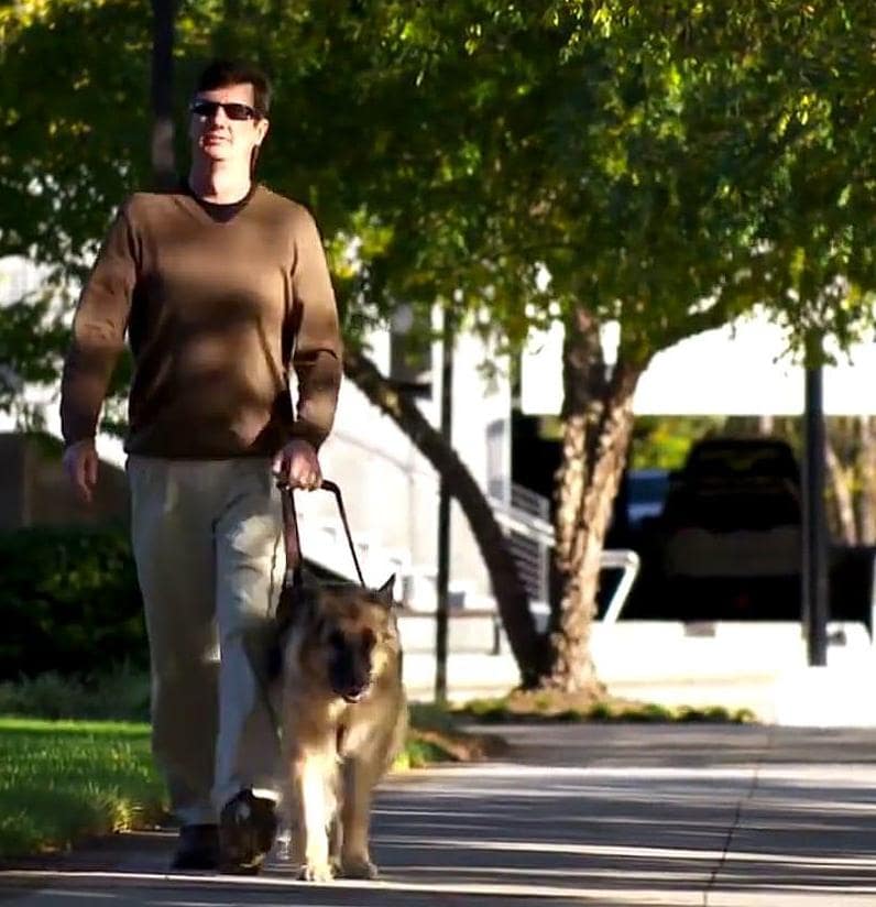 SAS employees walking on SAS campus with seeing-eye dog