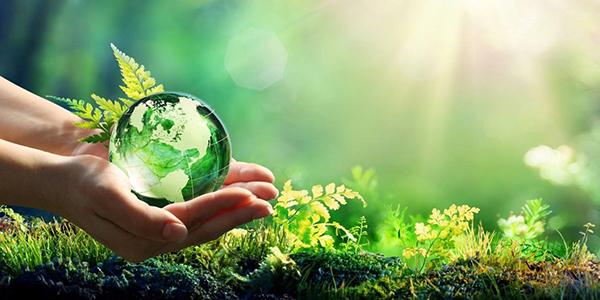 Southern States Energy Boardの顧客事例