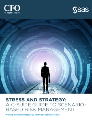 ストレスと戦略：シナリオベースのリスク管理に関する最高経営幹部向けガイド