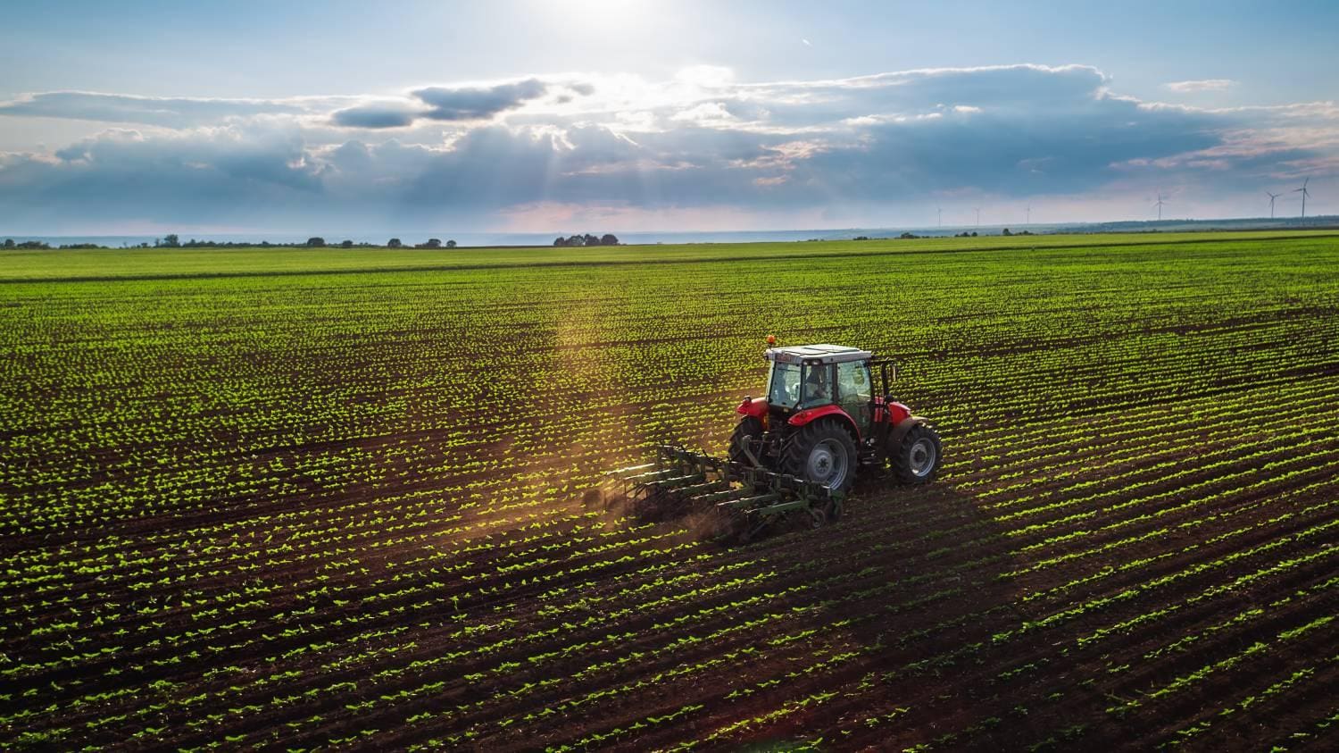 Tractor Cultivating Field at Spring