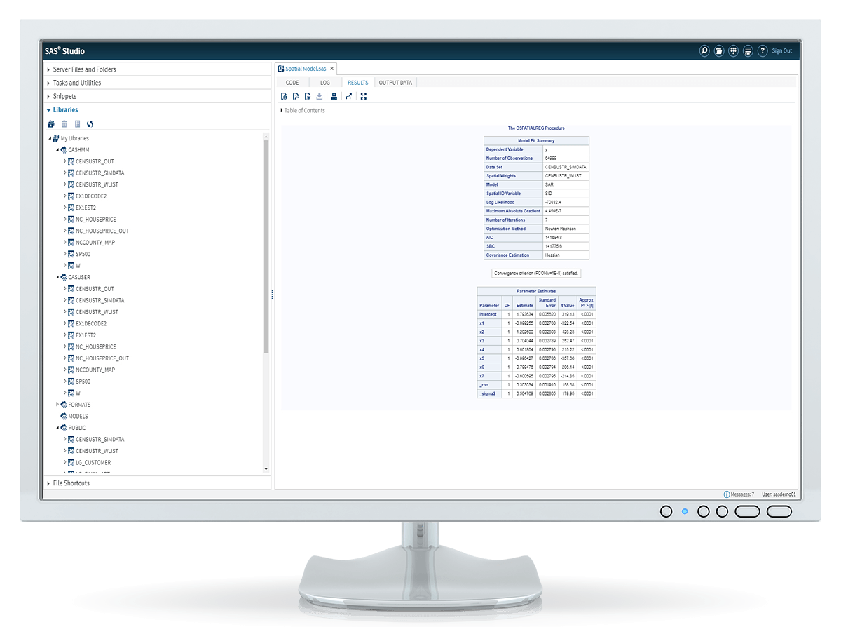 SAS Econometrics HHM code output shown on desktop monitor