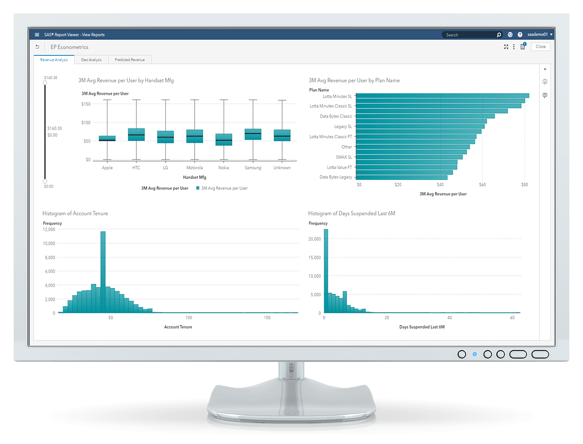 SAS Econometrics output viewed in SAS Visual Analytics on desktop monitor