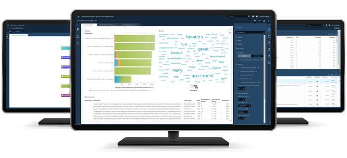 SAS® Visual Text Analytics screens on desktop monitors