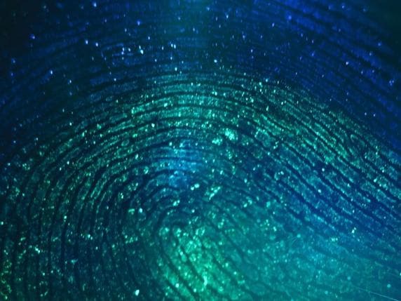 data points forming a human fingerprint