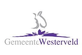 SAS Business Intelligence Gemeente Westerveld SAS Business Intelligence Gemeente Westerveld