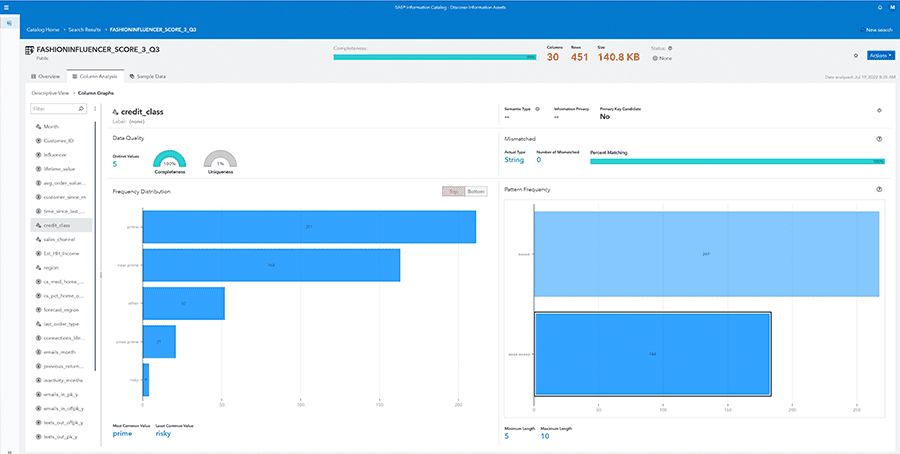 SAS Viya screenshot showing information asset discovery