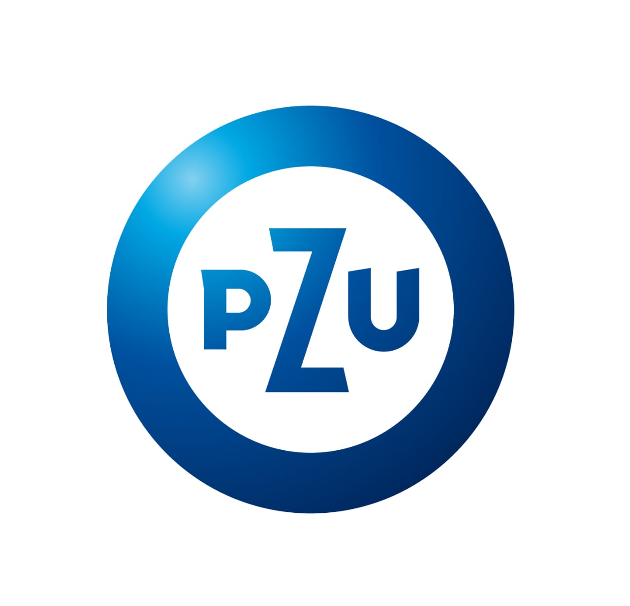 PZU SAS Enterprise Guide w PZU SA