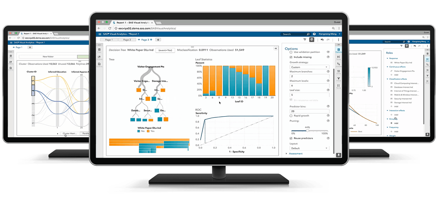 SAS® Visual Statistics cluster on desktop monitors