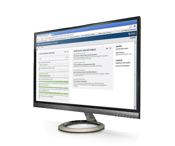 SAS® Data Management - centralized console screenshot on monitor