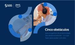 Cicno obstáculos para os ganhos de productividade dos desenvolvedores