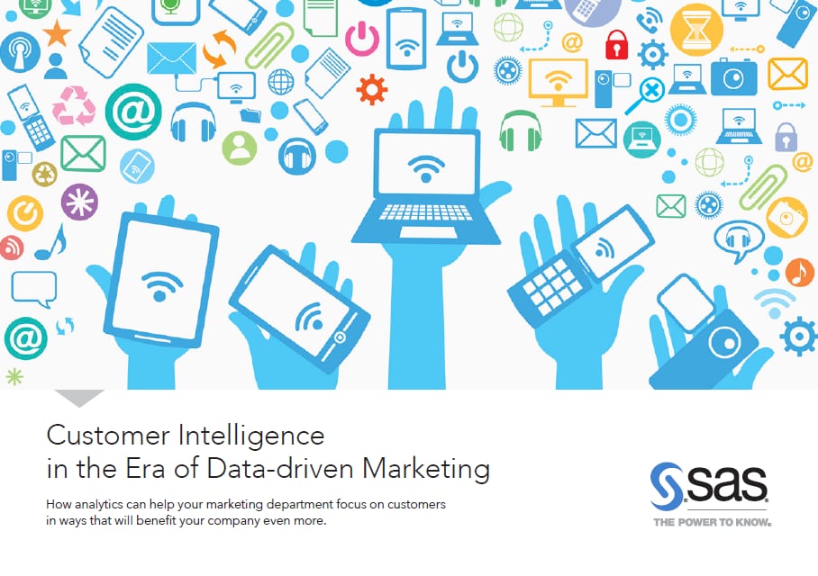 Customer inteligence in the era of data driven marketing cover - English