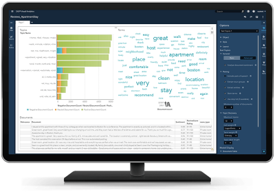 SAS® Visual Text Analytics on desktop - Visual exploration