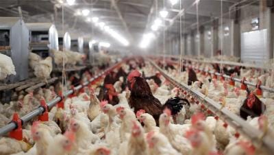 modernizing retail fraud prevention