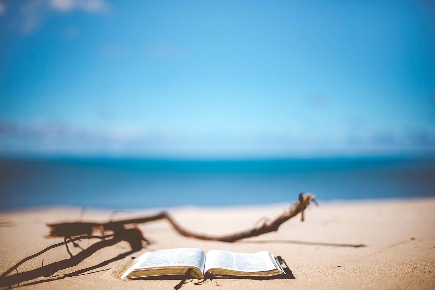 Open book laying on the sand in front of the ocean