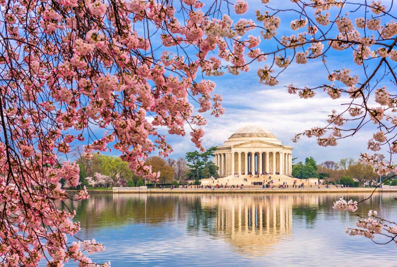 Washington DC Spring