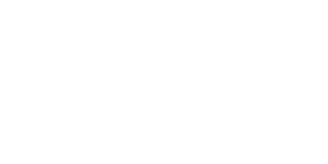 VectorLabs white logo