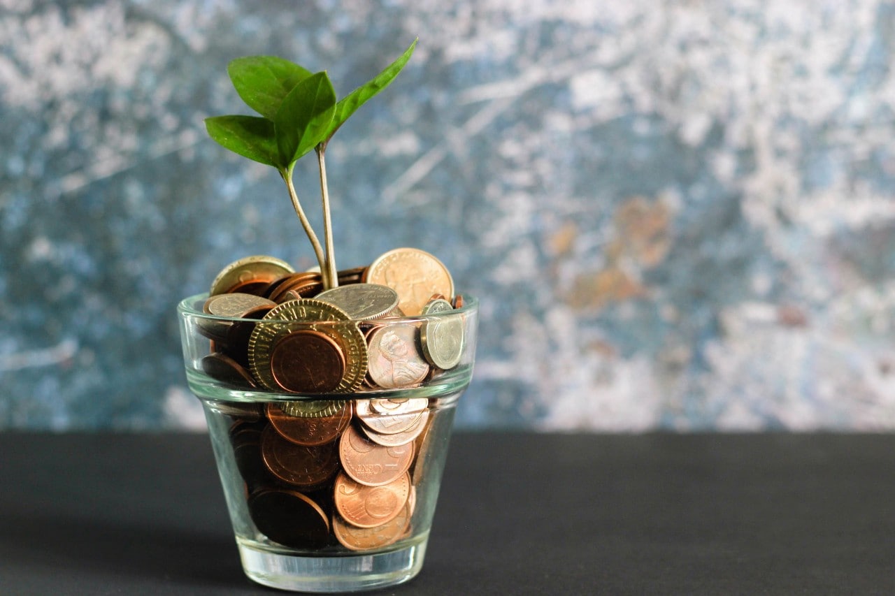 Banking coins in a glass with plant