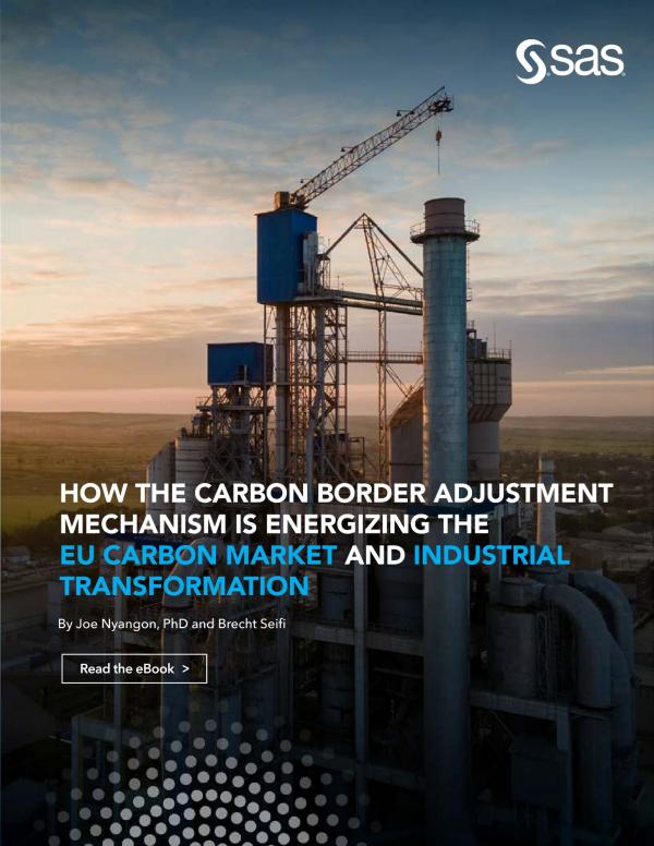 How Carbon Border Adjustment Mechanism is Energizing the EU Carbon Market and Industrial Transformation 