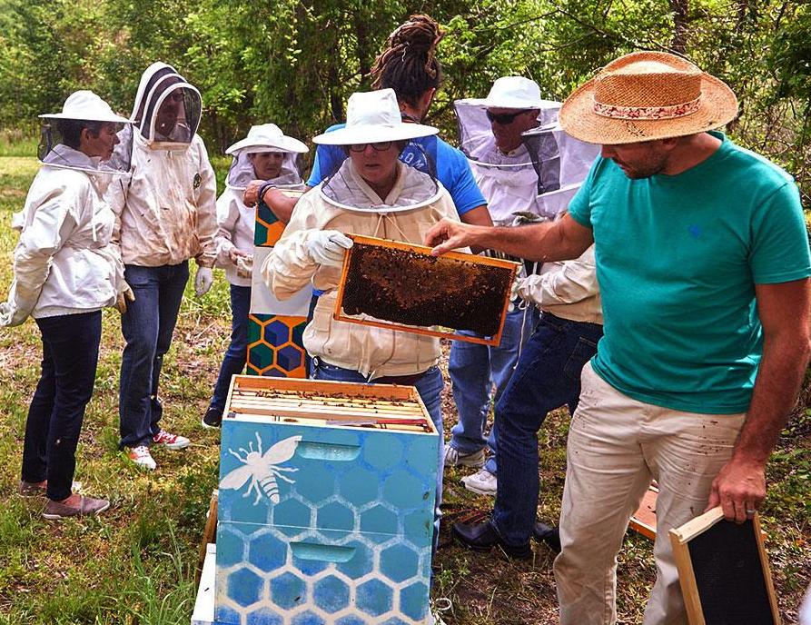 SAS beekeepers giving tour