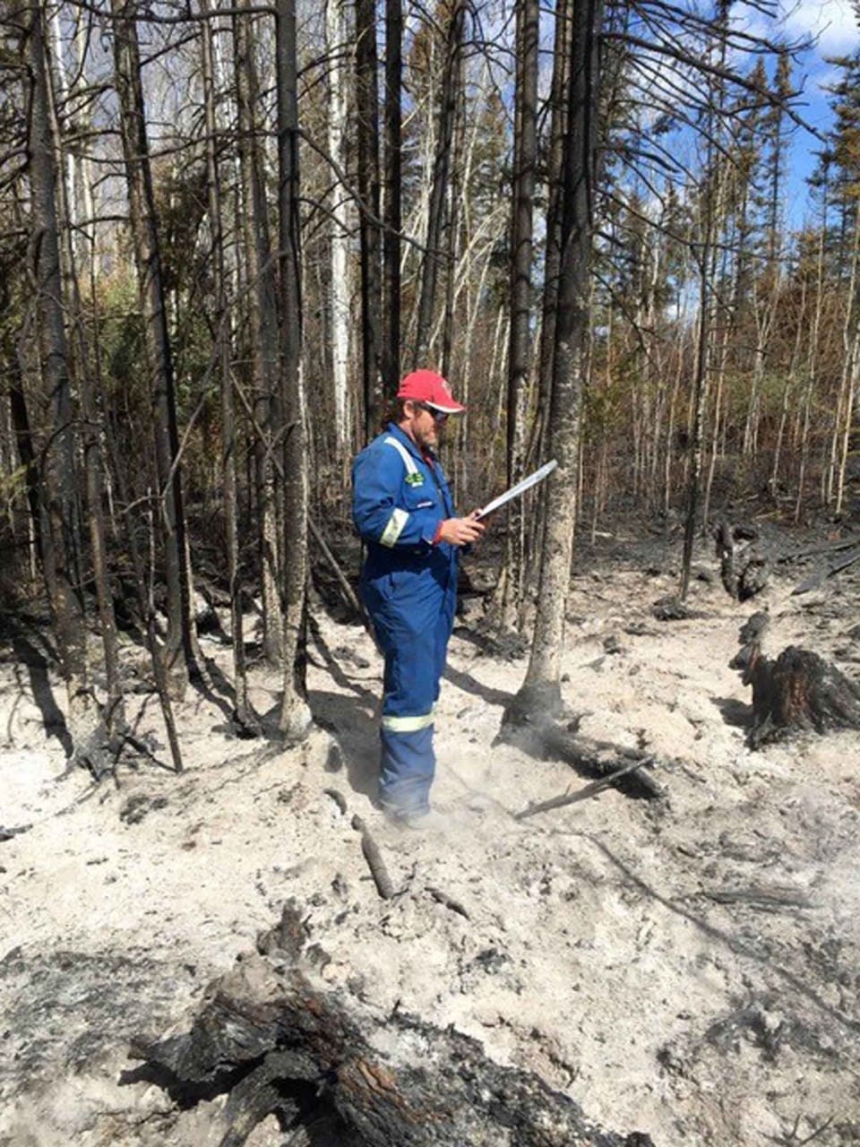 forensic chemist investigating forest fire