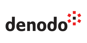 了解 Denodo Technologies