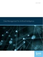 Data Management for Artificial Intelligence